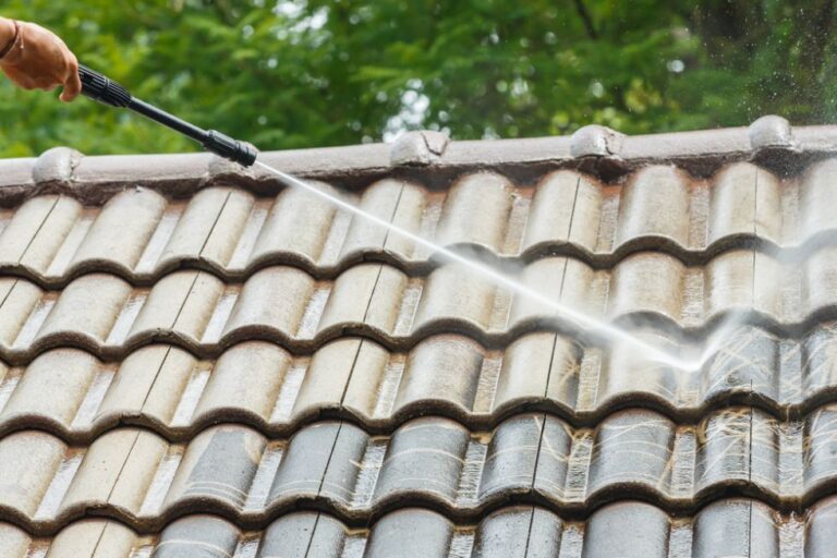 All about cleaning roofs