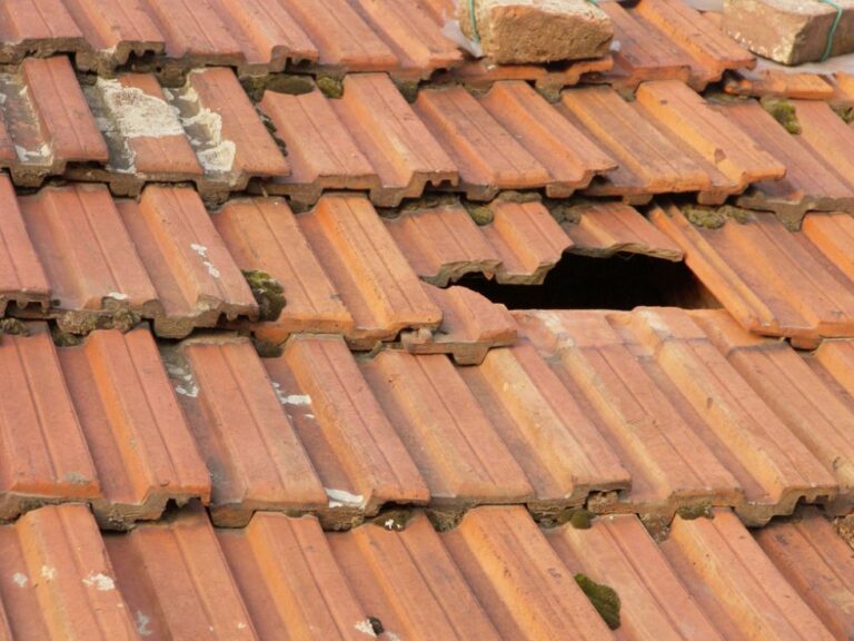 Most common roof problems and solutions